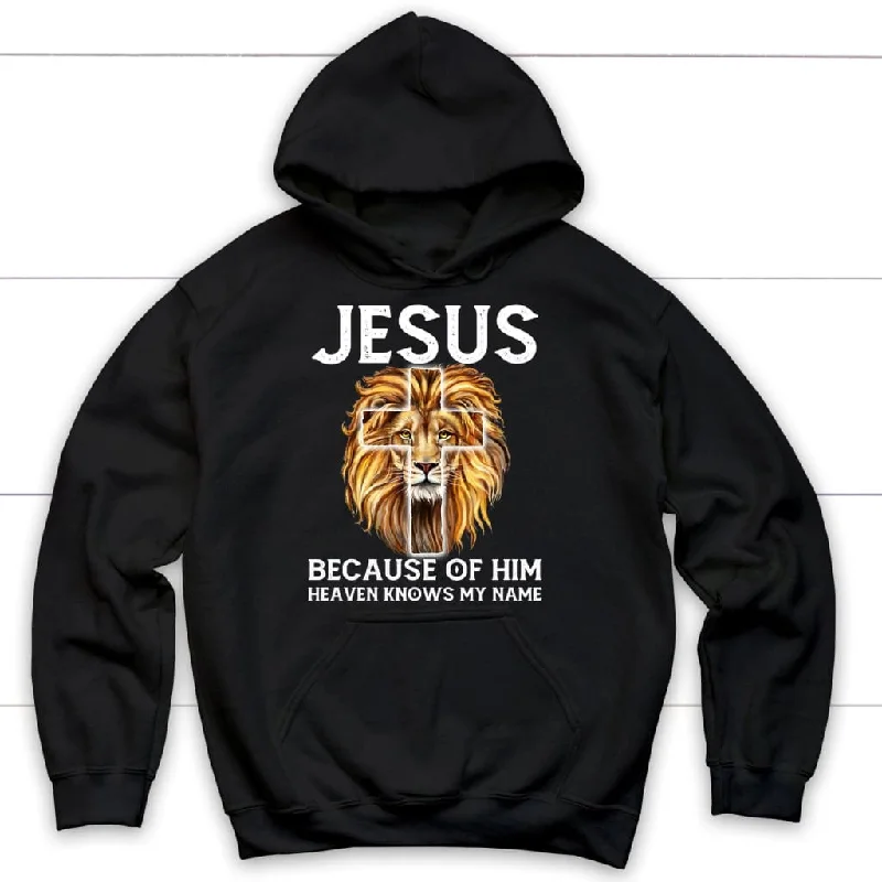 Jesus because of him heaven knows my name hoodie, Christian hoodies