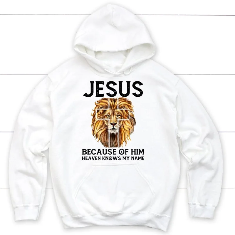 lion-jesus-because-of-him-heaven-knows-my-name-hoodie