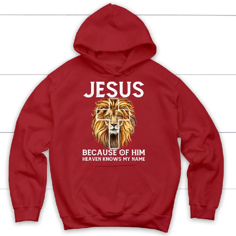 lion-jesus-because-of-him-heaven-knows-my-name-hoodie